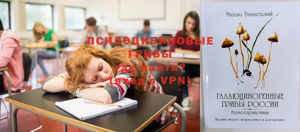 стафф Алзамай