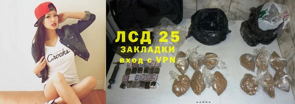 стафф Алзамай