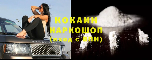 тгк Алексин