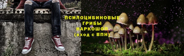 стафф Алзамай