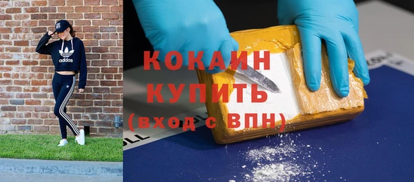 МДПВ Абаза
