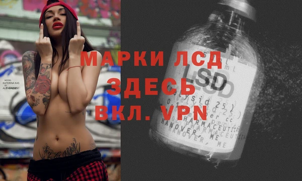 стафф Алзамай