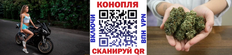 Бошки марихуана AK-47  Хадыженск 